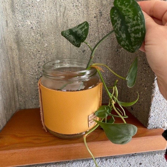 Leather Handcrafted “Grouse” Propagation Vase - Picture 9 of 9